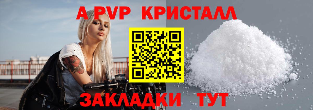 Alfa_PVP СК КРИС Рубцовск