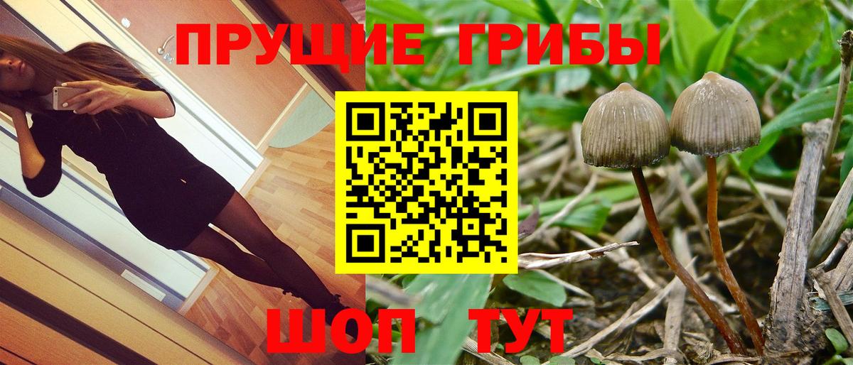 Псилоцибиновые грибы Magic Shrooms Рубцовск